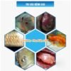 thuoc-tri-nam-ca-tetra-nhat-ban-hang-nhap1b9112ed0697afc12b612c6cee90eddc.jpg_1200x1200q80