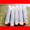 bong-loc-chuyen-dung-cho-ho-ca-canh-thuy-sinh-1-bich-loai-tot