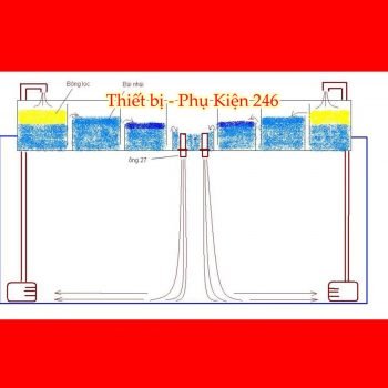 bong-loc-chuyen-dung-cho-ho-ca-canh-thuy-sinh-1-bich-loai-totbong-loc-chuyen-dung-cho-ho-ca-canh-thuy-sinh-1-bich-loai-tot