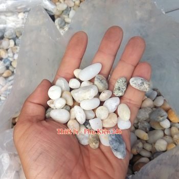 da-soi-trang-nho-trang-tri-ho-ca-chau-cay-1-goi-1-000-gram