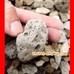 vat-lieu-loc-da-long-vu-da-nham-thach-trang-su-cao-cap-danh-cho-be-ca-koi-ca-rong-500gram