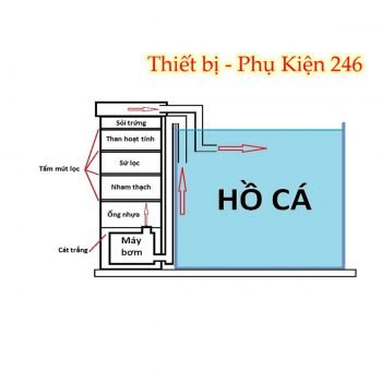 bong-loc-chuyen-dung-cho-ho-ca-canh-thuy-sinh-1-bich-loai-tot