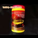 thuc-an-danh-rieng-cho-ca-rong-arowana-inch-gold