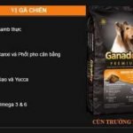 thuc-an-cho-cho-lon-vi-thit-cuu-thuc-an-cho-cho-ganador-adult