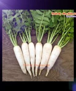 ca-canh-thuy-sinh-sinh-vat-canh-thu-nuoi-asda-la-han-rong-koi-phu-kien-ca-canh-phu-kien-thuy-sinh-do-choi-ca-canh-thuy-sinh-thuc-an-ca-canh-vat-nuoi-may-bom-ca-bien-cham-soc-cay-canh-815sfa7757557364ca-canh-thuy-sinh-sinh-vat-canh-thu-nuoi-asda-la-han-rong-koi-phu-kien-ca-canh-phu-kien-thuy-sinh-do-choi-ca-canh-thuy-sinh-thuc-an-ca-canh-vat-nuoi-may-bom-ca-bien-cham-soc-cay-canh-815sfa7757557364