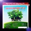 ca-canh-thuy-sinh-sinh-vat-canh-thu-nuoi-asda-la-han-rong-koi-phu-kien-ca-canh-phu-kien-thuy-sinh-do-choi-ca-canh-thuy-sinh-thuc-an-ca-canh-vat-nuoi-may-bom-ca-bien-cham-soc-cay-canh-815sfa7757557364
