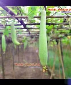 ca-canh-thuy-sinh-sinh-vat-canh-thu-nuoi-asda-la-han-rong-koi-phu-kien-ca-canh-phu-kien-thuy-sinh-do-choi-ca-canh-thuy-sinh-thuc-an-ca-canh-vat-nuoi-may-bom-ca-bien-cham-soc-cay-canh-815sfa7757557364
