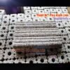 combo-10-thanh-su-da-giac-muoi-tieu-vi-sinh-locombo-10-thanh-su-da-giac-muoi-tieu-vi-sinh-loc-nuoc-loai-tot-chuyen-dung-ho-ca-rong-ca-koic-nuoc-loai-tot-chuyen-dung-ho-ca-rong-ca-koi585