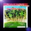 ca-canh-thuy-sinh-sinh-vat-canh-thu-nuoi-asda-la-han-rong-koi-phu-kien-ca-canh-phu-kien-thuy-sinh-do-choi-ca-canh-thuy-sinh-thuc-an-ca-canh-vat-nuoi-may-bom-ca-bien-cham-soc-cay-canh-815sfa7757557364ca-canh-thuy-sinh-sinh-vat-canh-thu-nuoi-asda-la-han-rong-koi-phu-kien-ca-canh-phu-kien-thuy-sinh-do-choi-ca-canh-thuy-sinh-thuc-an-ca-canh-vat-nuoi-may-bom-ca-bien-cham-soc-cay-canh-815sfa7757557364
