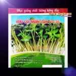 ca-canh-thuy-sinh-sinh-vat-canh-thu-nuoi-asda-la-han-rong-koi-phu-kien-ca-canh-phu-kien-thuy-sinh-do-choi-ca-canh-thuy-sinh-thuc-an-ca-canh-vat-nuoi-may-bom-ca-bien-cham-soc-cay-canh-815sfa7757557364ca-canh-thuy-sinh-sinh-vat-canh-thu-nuoi-asda-la-han-rong-koi-phu-kien-ca-canh-phu-kien-thuy-sinh-do-choi-ca-canh-thuy-sinh-thuc-an-ca-canh-vat-nuoi-may-bom-ca-bien-cham-soc-cay-canh-815sfa7757557364