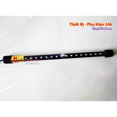 Thế giới 246